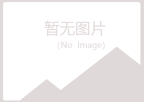 兴山县斑驳建设有限公司